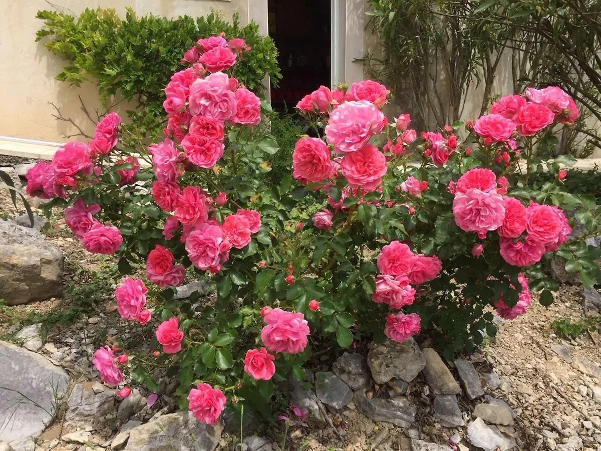 Bastide Saint-Thomé 3*,  צרפת
