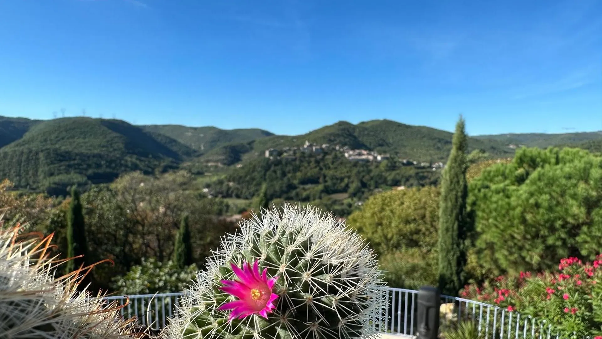 Bed & Breakfast Bastide Saint-Thomé
